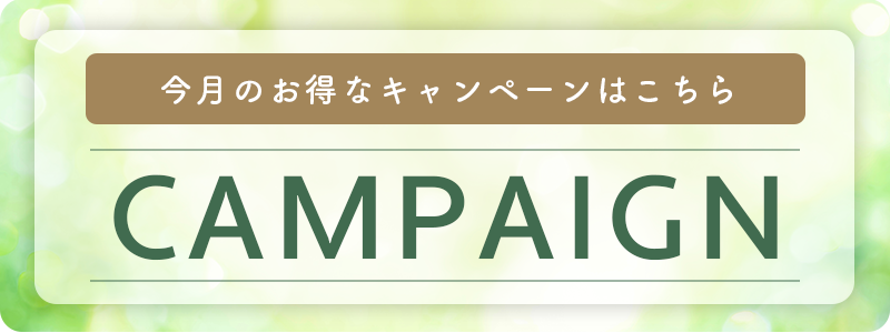 今月のお得なキャンペーンはこちら